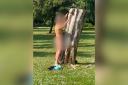 A naked man appears to have sex with a tree