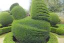 Perfect topiary at Charlton Down House, National Garden Scheme, open on June 10
