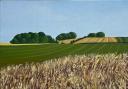 Towards Barbury Castle oil painting by Simone Dawood