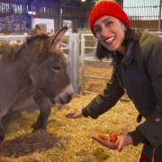 Anita Rani with a donkey