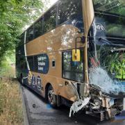 A bus driver who admitted to falling asleep at the wheel when he collided with an oncoming vehicle has been jailed for 18 months