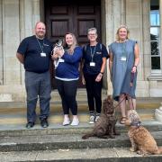 Wiltshire Council's Dog Warden Service team