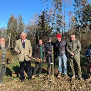 Great Wood tree planting event on Wednesday, January 24