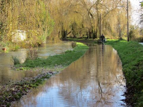 Floods at Bow Wow, South Cerney by Sarah Moss