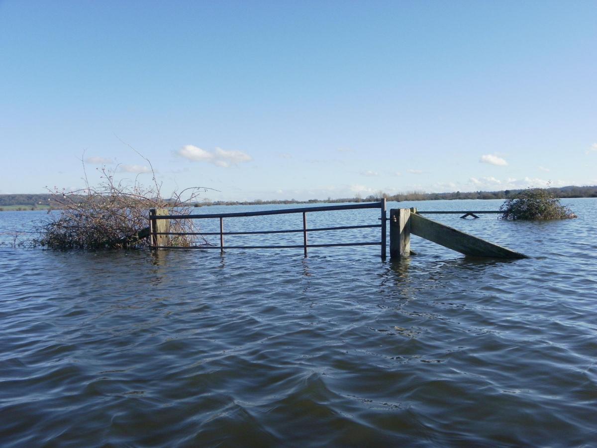 Flood gate: rising water in Somerset