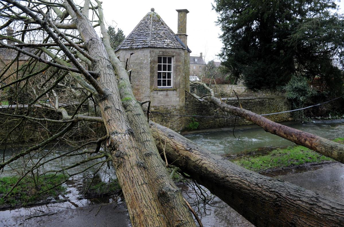 Trees down in South Cerney