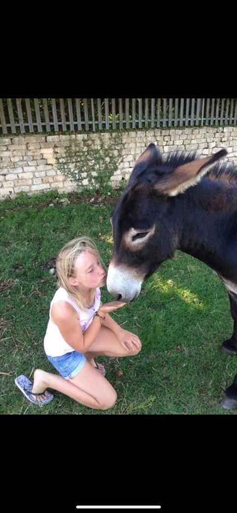 Alfie the donkey poses for selfie with lifelong friend | Wilts and  Gloucestershire Standard