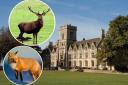 Student event cancelled after two “cruel” incidents involving dead animals