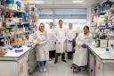 Brain Tumour Research opens fourth Centre of Excellence on the Sutton campus of The Institute of Cancer Research, London