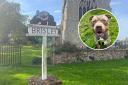 Village in shock after XL Bully dog attack ends in school evacuation