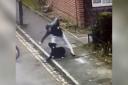 The moment an abusive pet owner was caught launching a brutal attack on his dog on CCTV