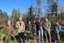Great Wood tree planting event on Wednesday, January 24