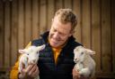 Lambing and kidding events are being held at Cotswold Farm Park