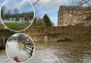 Pictures from flood-hit Malmesbury 