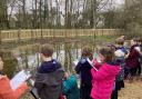 Powells Primary School plans to reinstate pond to aid learning and well-being