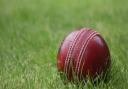 Weekend round-up of cricket fixtures in our area