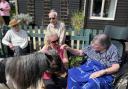 Dinky ponies at Hunters Care Home