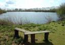 Chance to see otters and beavers on this Cotswold Water Park walk