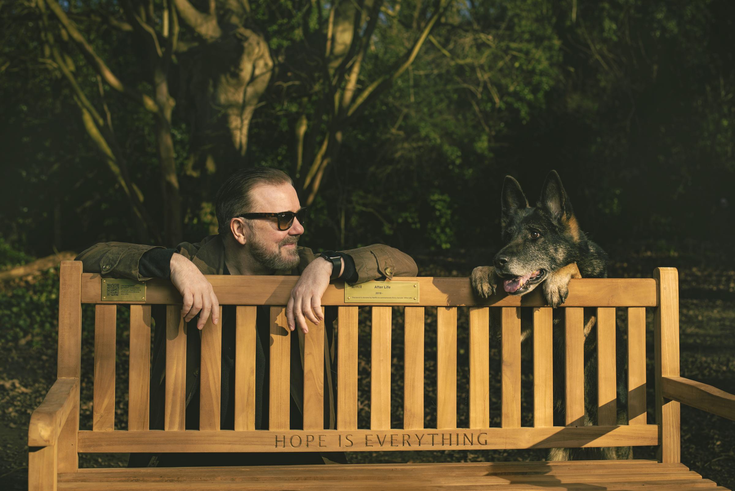 Locations of After Life Netflix benches - 'hope is everything' | Wilts and Gloucestershire Standard - Vimarsana News
