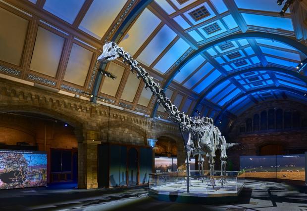 Wilts and Gloucestershire Standard: The Natural History Museum is just one of many museums you can visit for free. Picture: PA