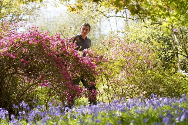 Wilts and Gloucestershire Standard: National Trust properties are a great place to reconnect with nature: Picture: PA