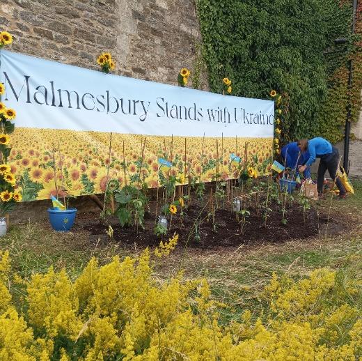 Wilts and Gloucestershire Standard: Sunflowers in Solidarity. Photo: Liz Cook