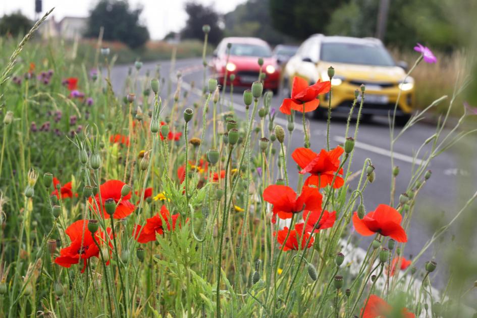 Flowers helping to prevent speeding through Cotswold village 