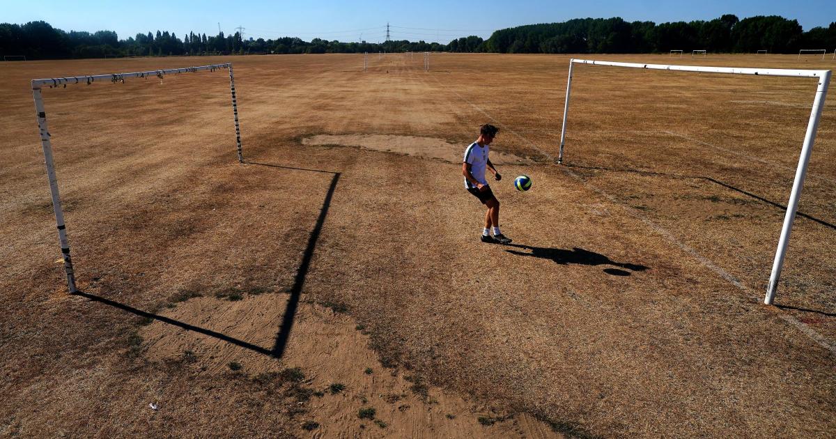 In Pictures: Scorching day for Britons as heatwave intensifies - Vimarsana News