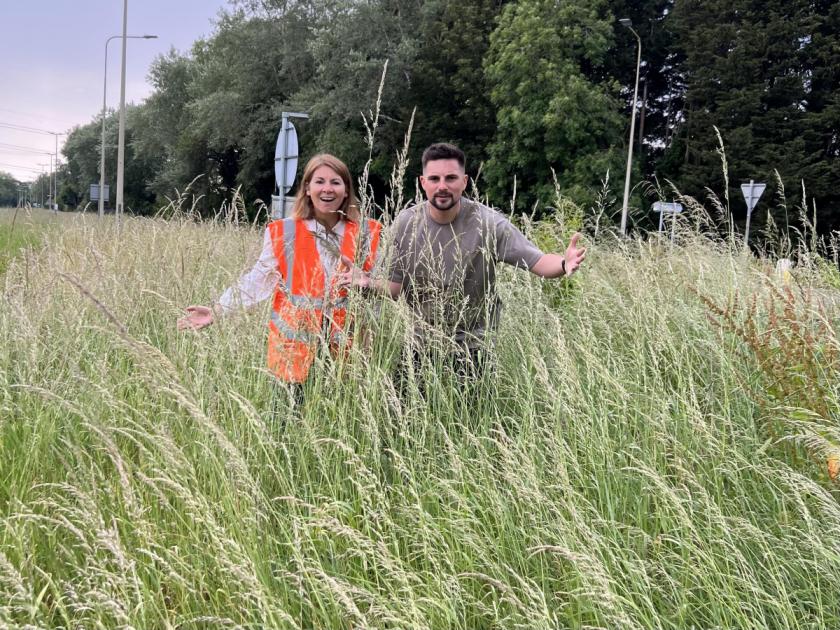 No Mow May raises concern over the safety of drivers in Cirencester