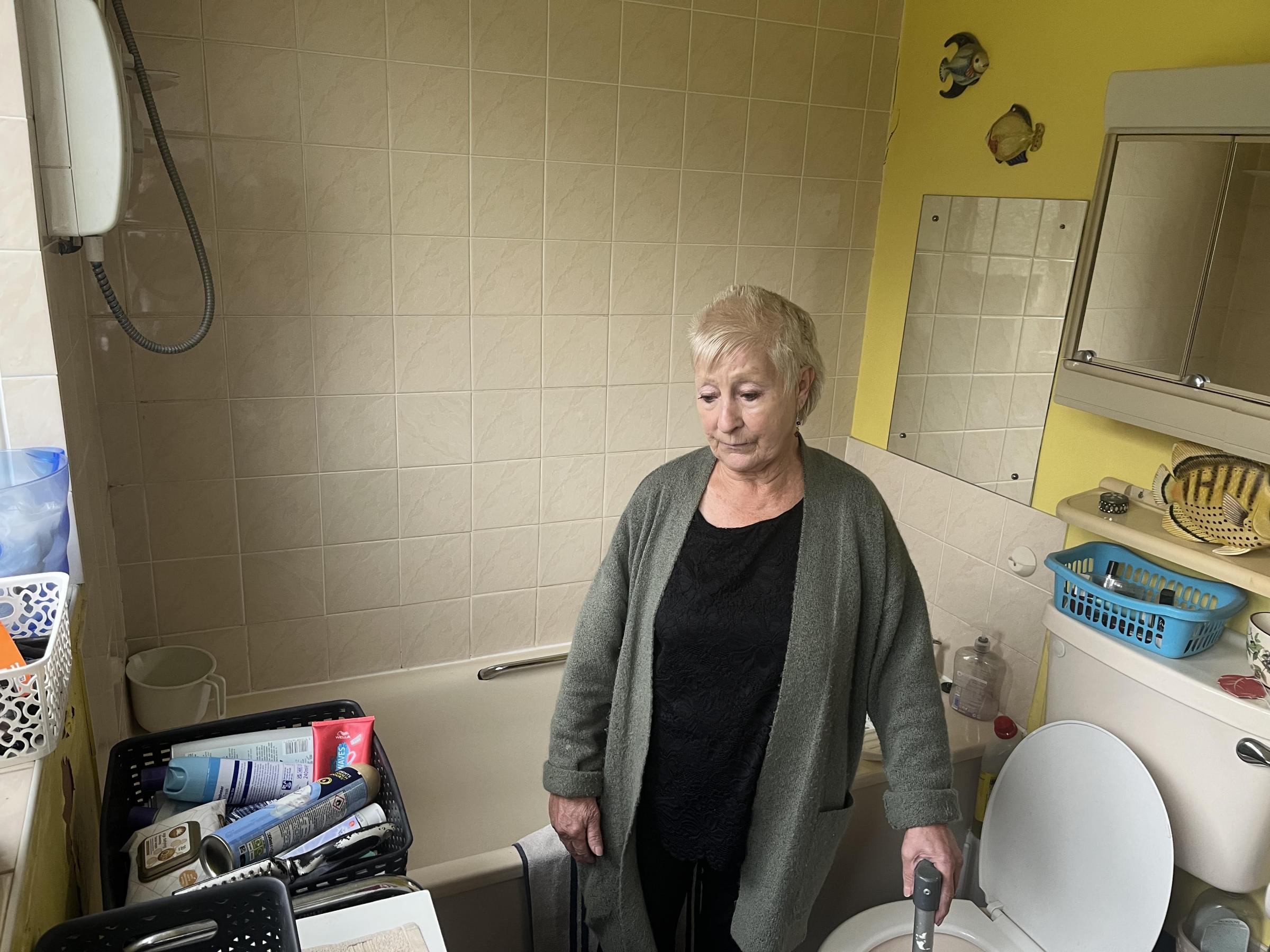 Gran living in Cirencester Bromford housing calls for urgent action | Wilts and Gloucestershire Standard - Vimarsana News