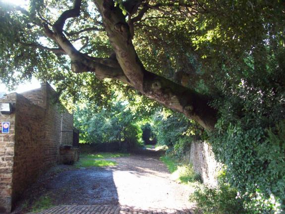 Wilts and Gloucestershire Standard: MyBuilder.com recommends getting an expert out to advise if you have any particularly large trees that need managing. ( Geograph.co.uk) Wilts and Gloucestershire Standard: MyBuilder.com recommends getting an expert out to advise if you have any particularly large trees that need managing. ( Geograph.co.uk)