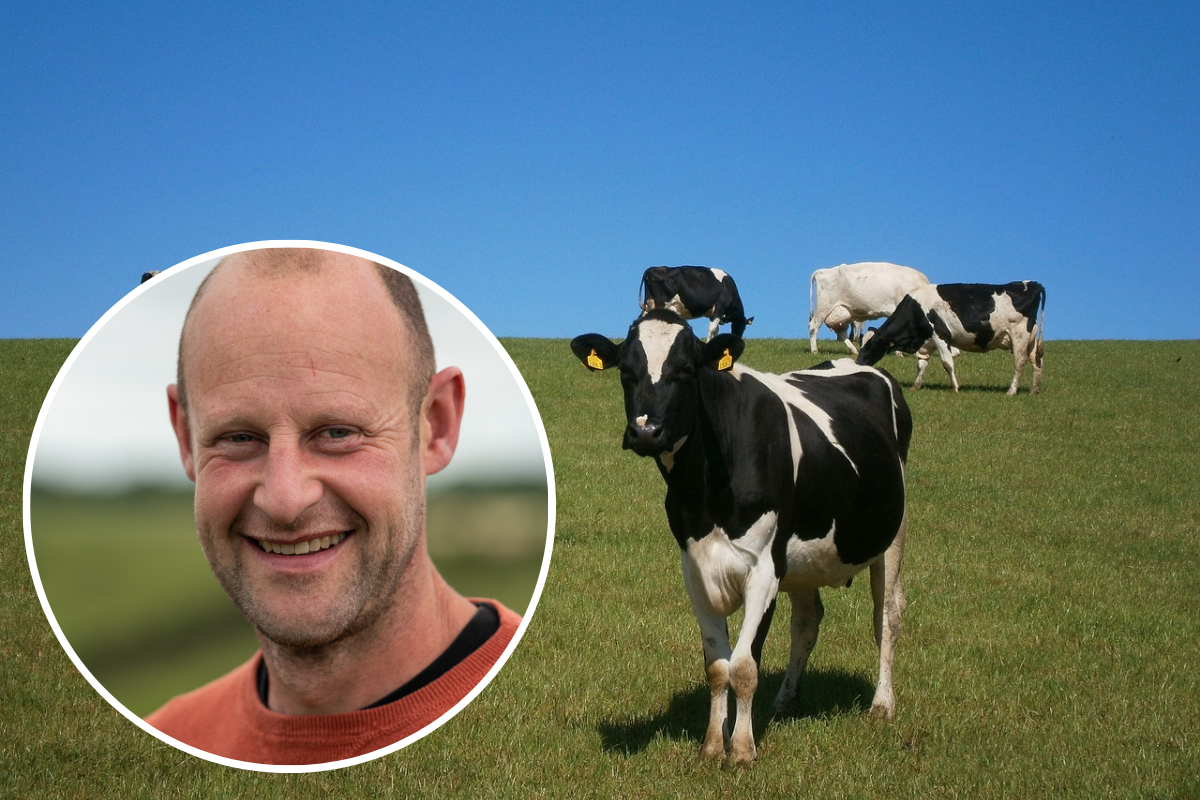 Cirencester dairy farmer chosen to help M&S reach net-zero target - Vimarsana News