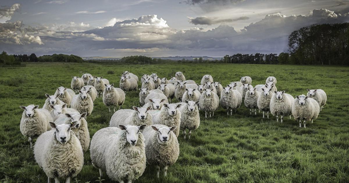 Four stunning photographs from Cirencester Camera Club - Vimarsana News