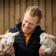 Lambing and kidding events are being held at Cotswold Farm Park