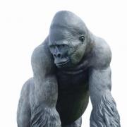 Iconic bronze life-size gorilla cast goes under the hammer