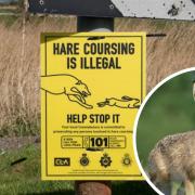 Police alert after illegal hare coursing incidents