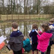 Powells Primary School plans to reinstate pond to aid learning and well-being