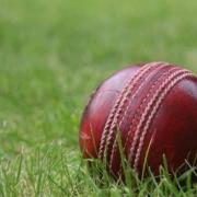 Weekend round-up of cricket fixtures in our area