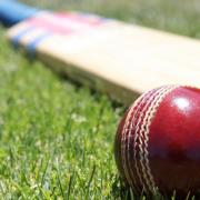 Cricket round-up from the WEPL Gloucestershire division.