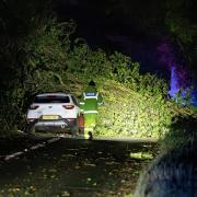 Picture of the car crushed under a large fallen tree near Kemble yesterday evening