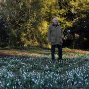 Sir Henry Elwes amongst the snowdrops at Colesbourne Park
