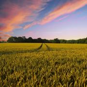NatWest has announced support for farmers