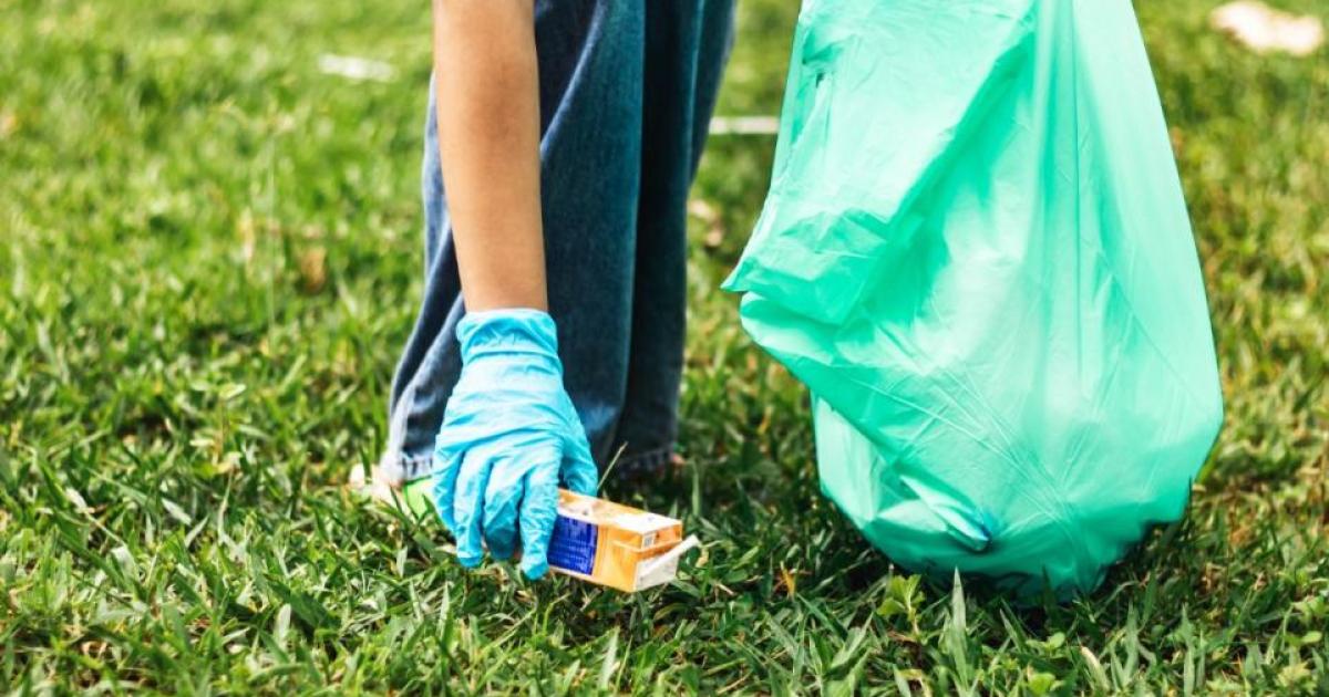 How to join Wiltshire Council in Great British Spring Clean | Wilts and ...