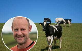 Austin Russell's dairy farm will take part in new M&S green initiative